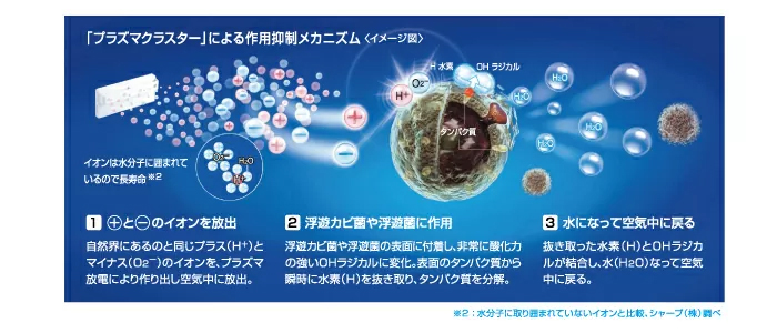 プラズマクラスターによる作用抑制メカニズム