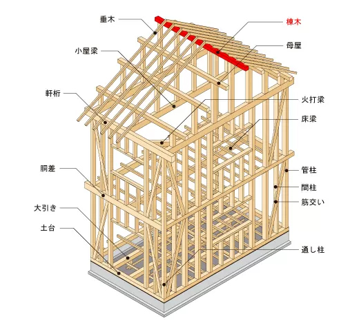 棟木