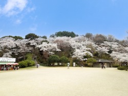 長野公園まで931m徒歩1分