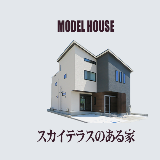 MODEL HOUSE スカイテラスのある家