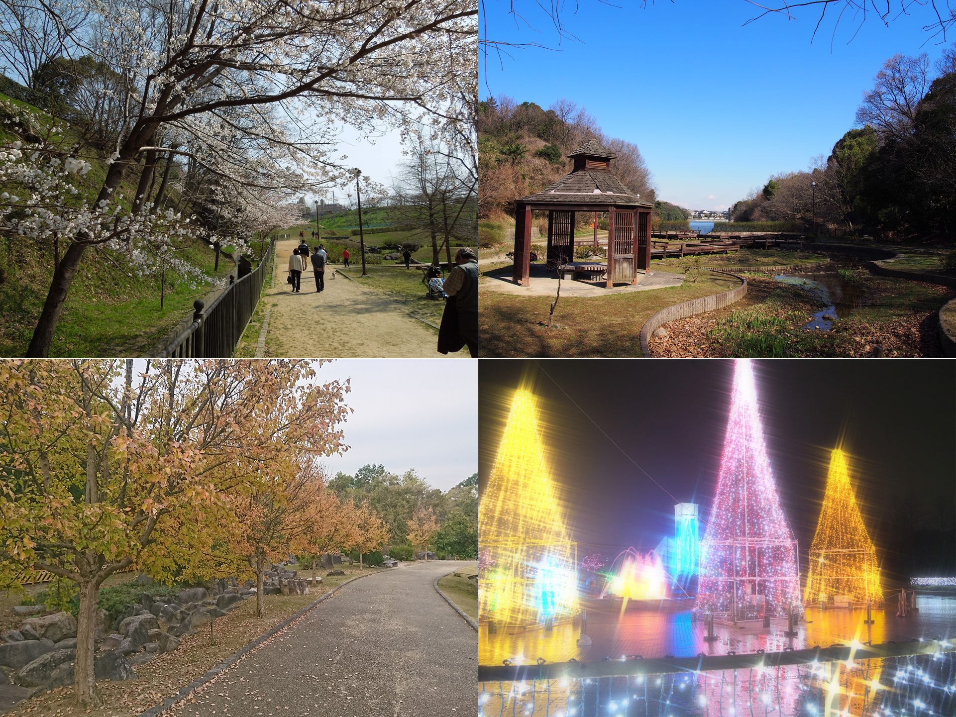 四季折々の風景が楽しめる寺ヶ池公園